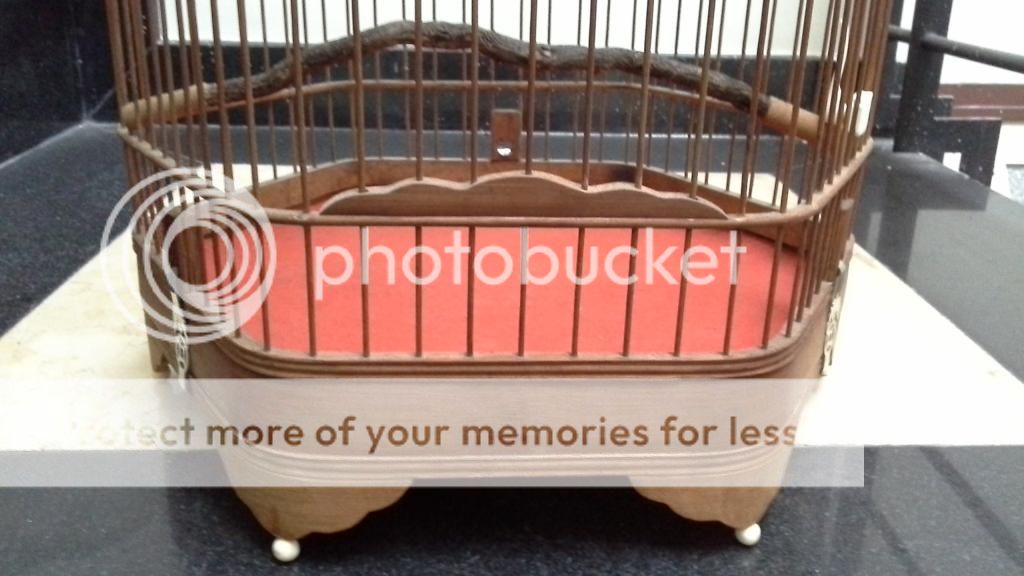 Ra đi vài cái lồng và chim - 3