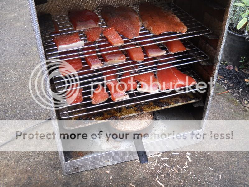 Photo Tutorial Smoking with the Big Chief Smoker (Part Two)